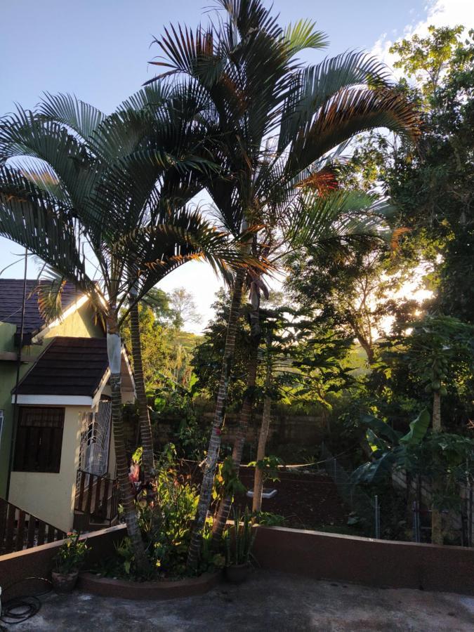 Gables Vacation Rentals With Private Gated Parking Onsite Knockpatrick Exterior foto